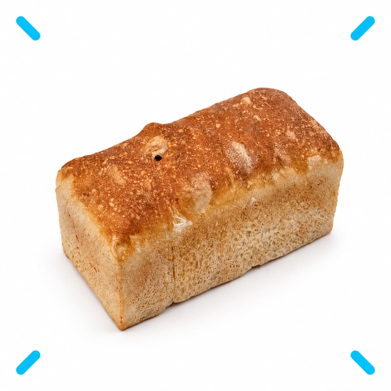 %d8%aa%d8%b3%d8%aa+%da%af%d8%b1%d8%af%d9%88.webp